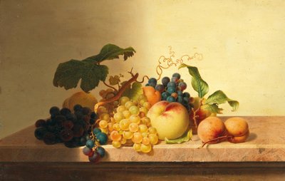 Still Life with Grapes, Peaches, and Apricots by Johann Wilhelm Preyer